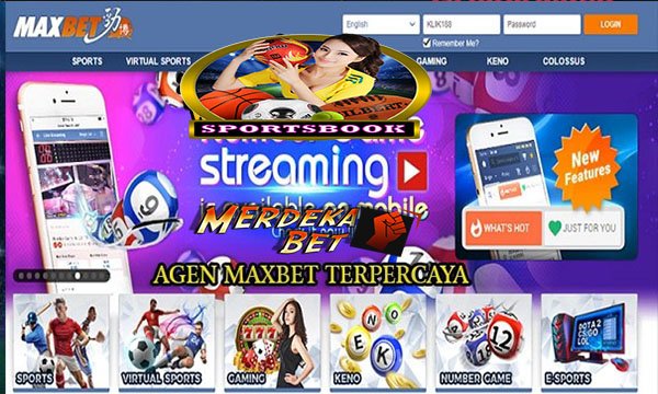 DAFTAR JUDI BOLA MAXBET